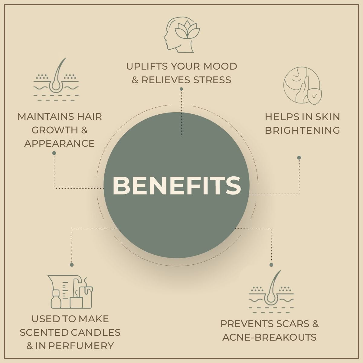 Salvia Natural Essential Oils Daffodil Oil (Narcissus poeticus) | Pure And Natural Safe Fragrance Oil Salvia Natural Essential Oils Daffodil Oil (Narcissus poeticus) | Pure And Natural Safe Fragrance Oil